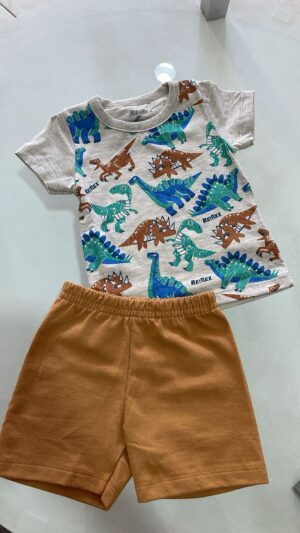 Conjunto reirex